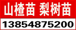 ̩@ˇ