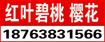 ԷNֲ