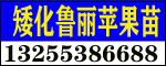 ̩Rľ޹˾