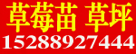 ̩_l^@ˇ 